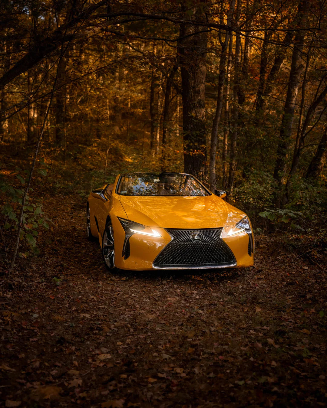 Lexus Performance Upgrades
